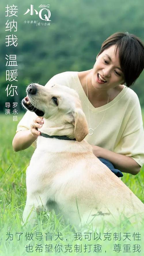 不动产权证还用办土地证吗